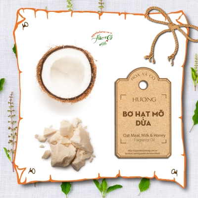 Mùi Hương Bơ Hạt Mỡ & Dừa ( Shea & Coconut  Fragrance Oil )