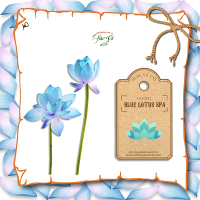 Hương Blue Lotus Spa ( Blue Lotus Spa Fragrance Oil )