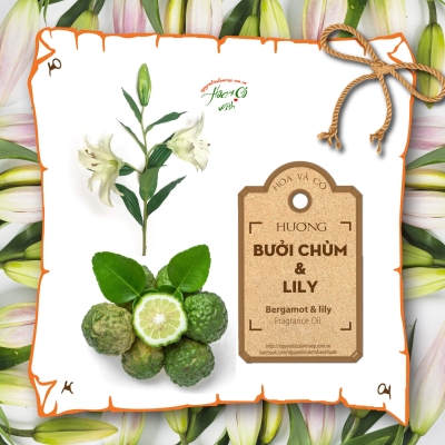 Hương Bưởi Chùm & Lily ( Bergamot & Lily Fragrance Oil )