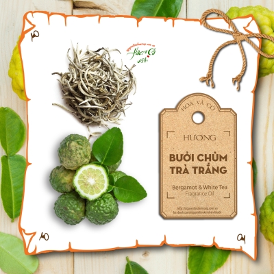 Hương Bưởi Chùm & Trà Trắng (Bergamot & White Tea Fragrance Oil)