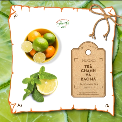 Hương Trà Chanh & Bạc Hà (Lemon Mint Tea Fragrance Oil)