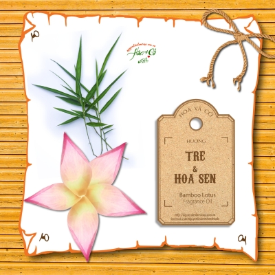 Hương Tre & Hoa Sen ( Bamboo Lotus Fragrance Oil )