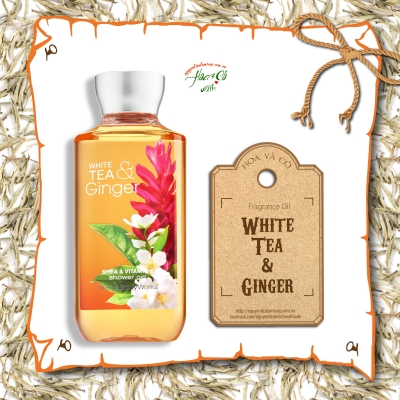 Mùi Hương White Tea  & Ginger