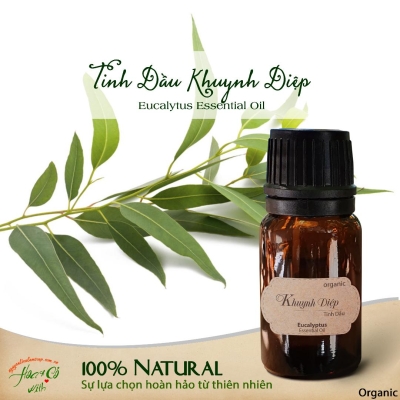 Tinh Dầu Khuynh Diệp Hữu Cơ ( Organic Eucalyptus Essential Oil )