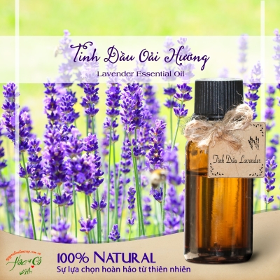 Tinh Dầu Oải Hương ( Lavender Essential Oil )