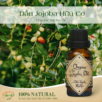 Dầu Jojoba Hữu Cơ (100% Organic Jojoba Oil)